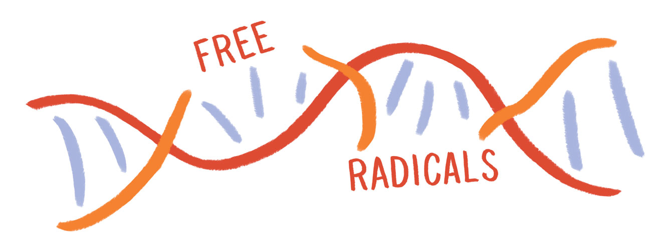 Free Rads